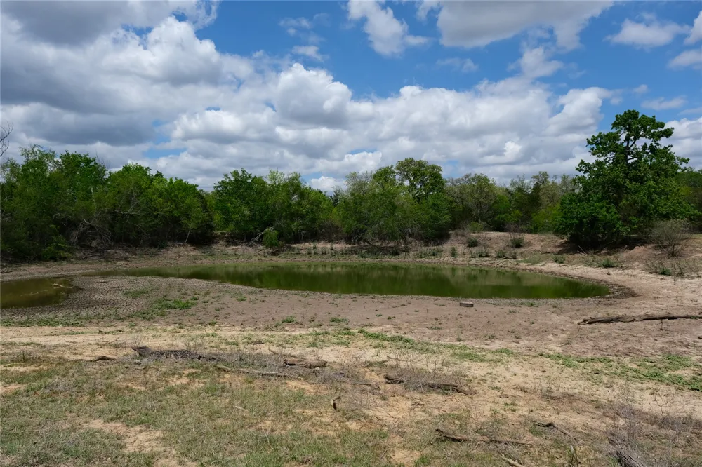 446 Herron Trail McDade, TX 78650