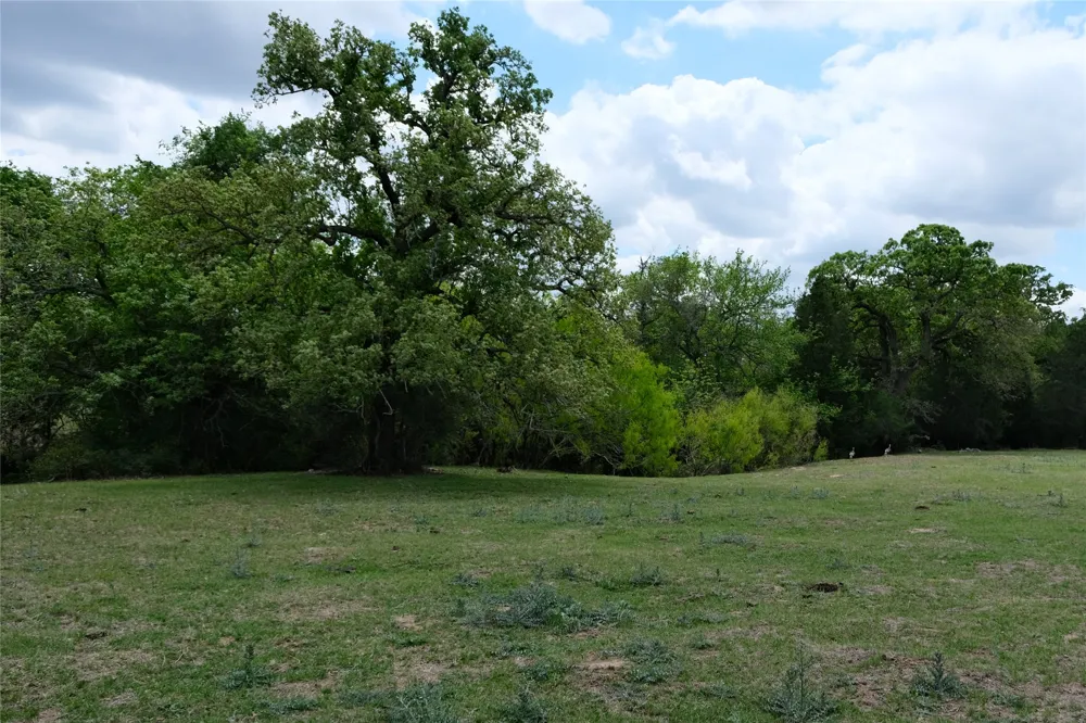 446 Herron Trail McDade, TX 78650