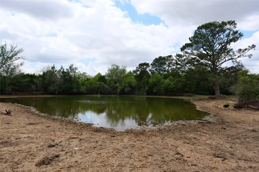 446 Herron Trail McDade, TX 78650