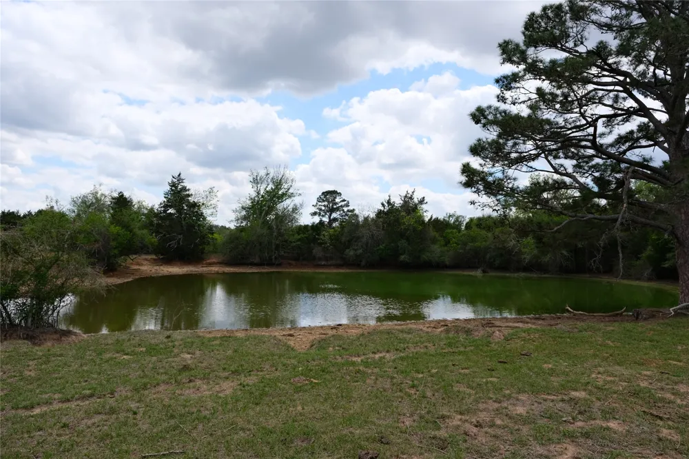 446 Herron Trail McDade, TX 78650