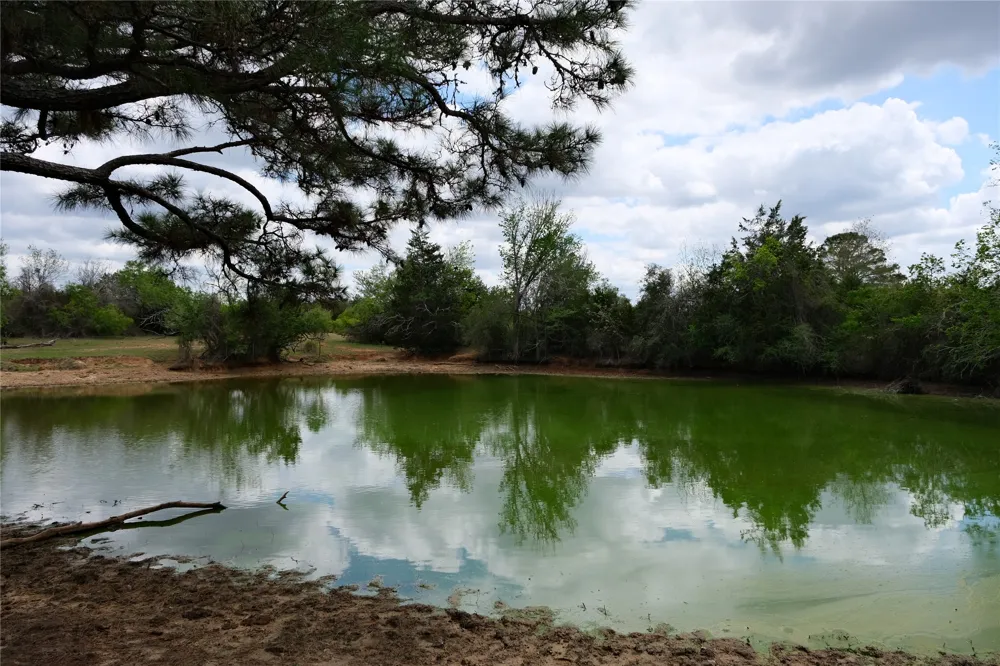 446 Herron Trail McDade, TX 78650