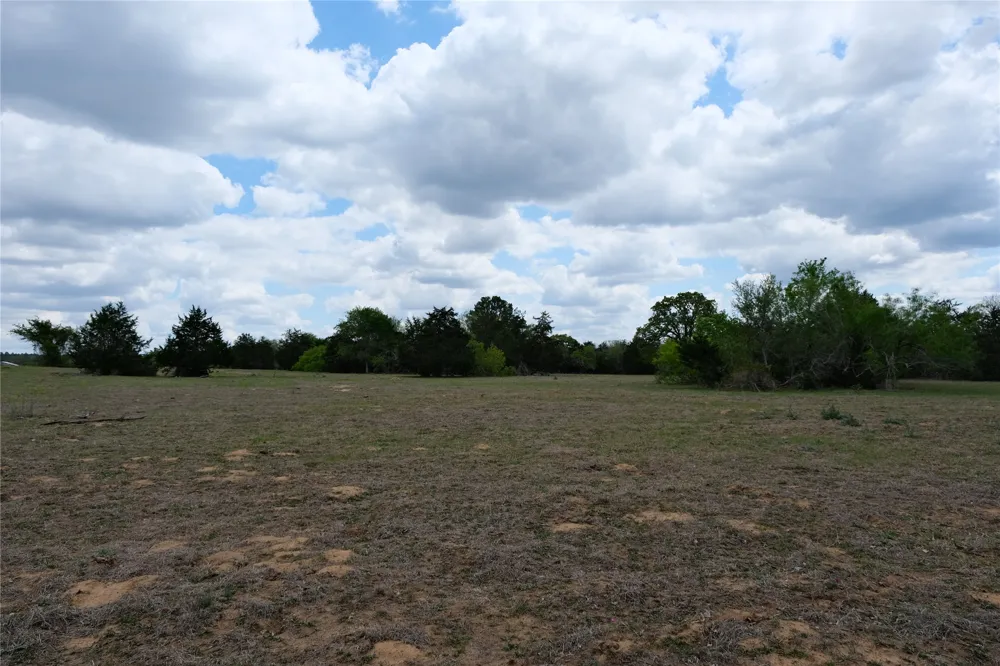 446 Herron Trail McDade, TX 78650