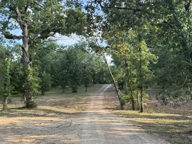 6033 Gowan Drive Malakoff, TX 75148