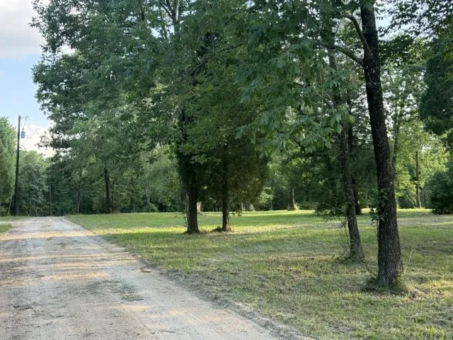 6033 Gowan Drive Malakoff, TX 75148