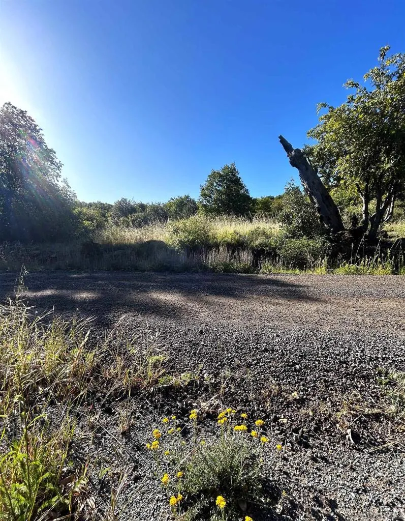 Oak Way Julian, CA 92036