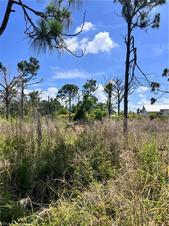 8756 Nome Court St. James City, FL 33956