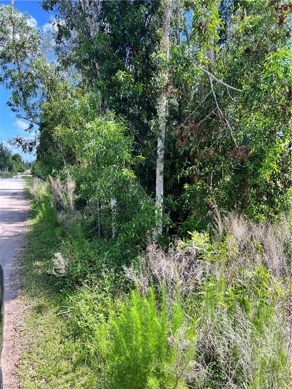 8756 Nome Court St. James City, FL 33956