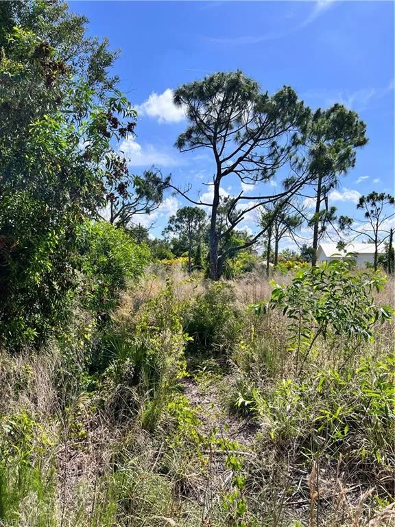 8756 Nome Court St. James City, FL 33956