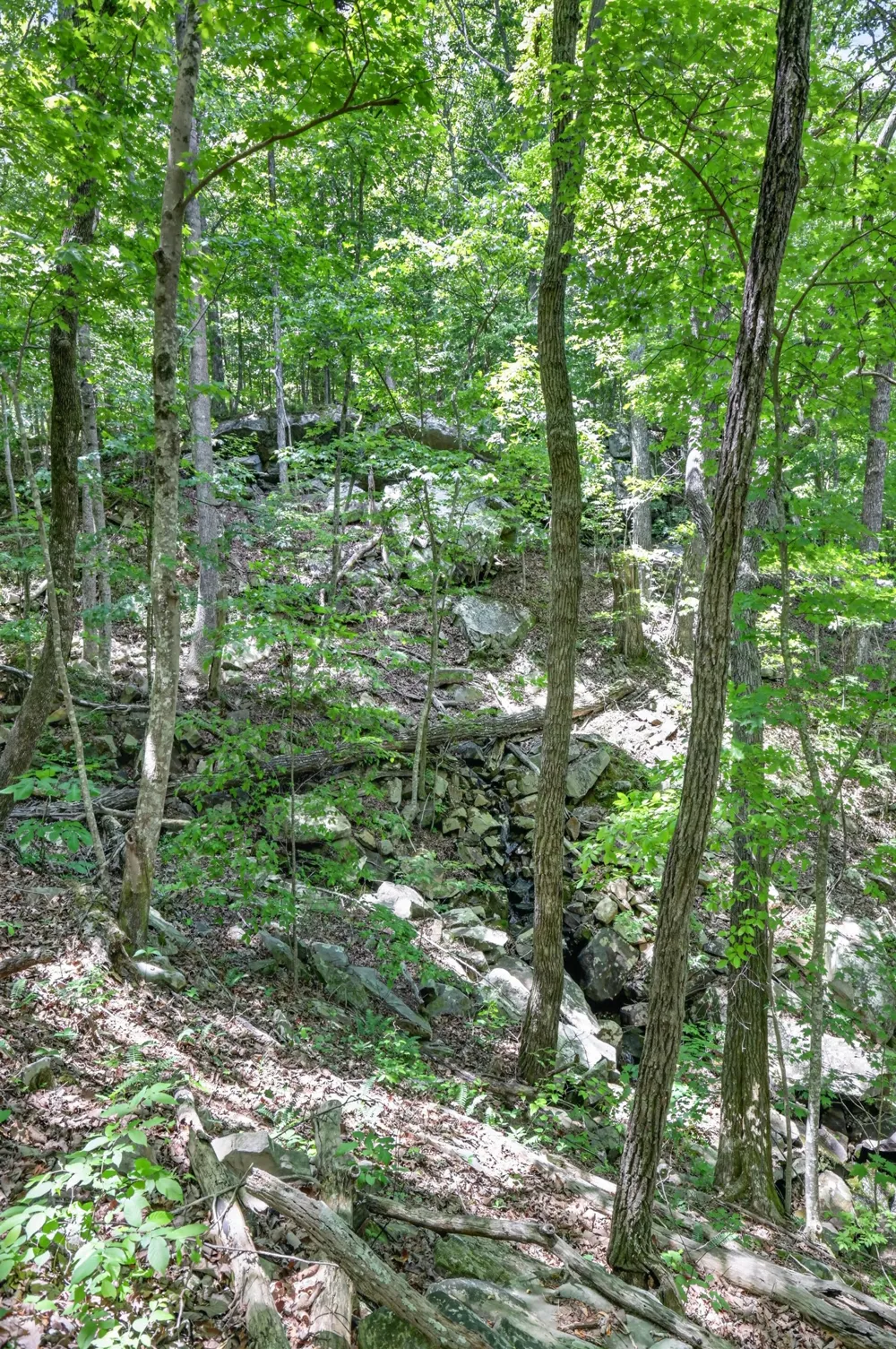 1215 Stage Coach Rd Sewanee, TN 37375
