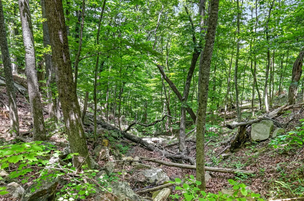 1215 Stage Coach Rd Sewanee, TN 37375