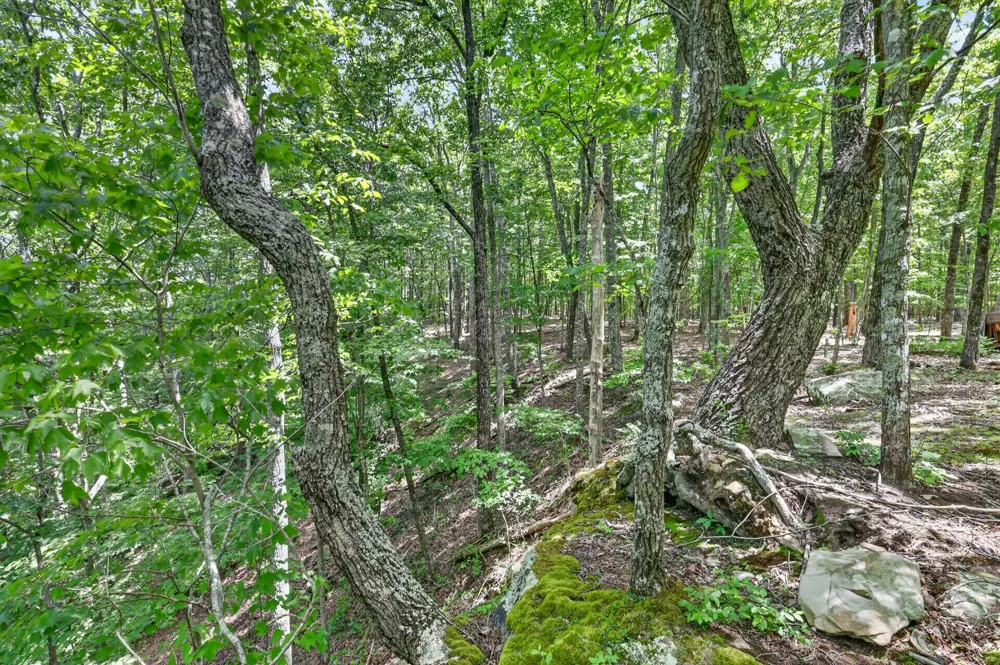 1215 Stage Coach Rd Sewanee, TN 37375