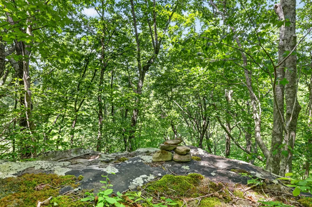 1215 Stage Coach Rd Sewanee, TN 37375