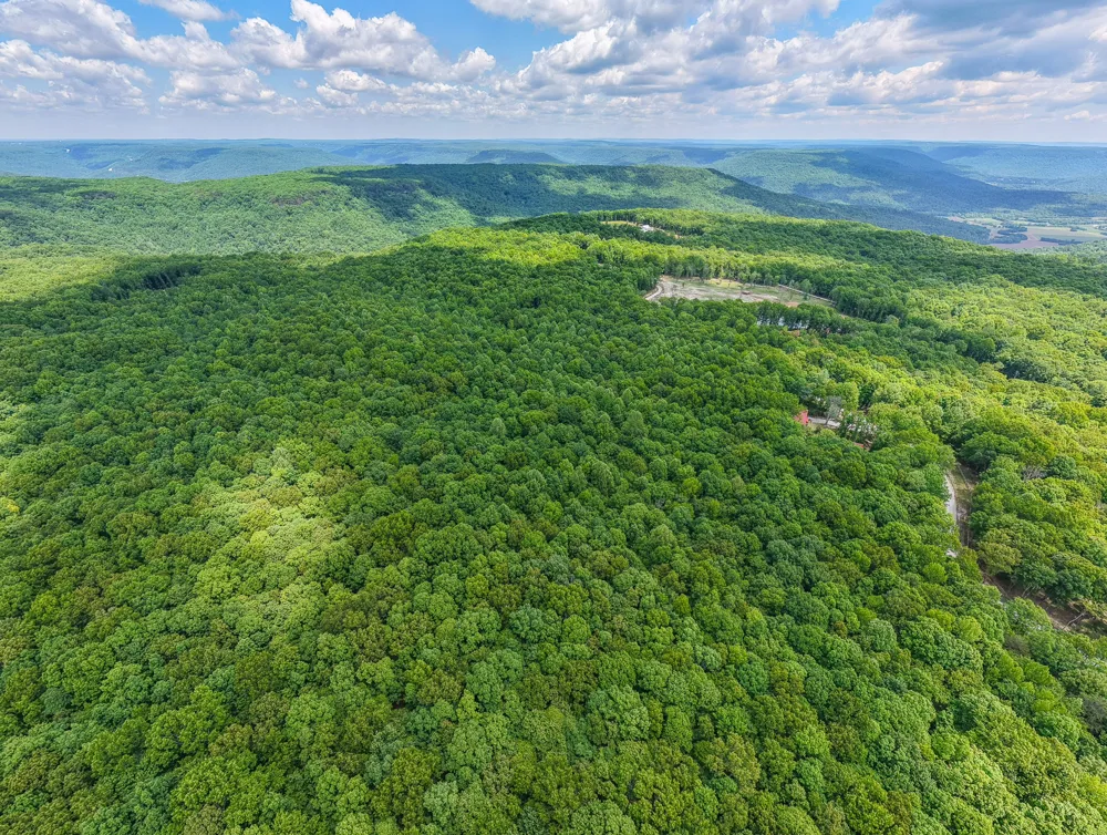 1215 Stage Coach Rd Sewanee, TN 37375