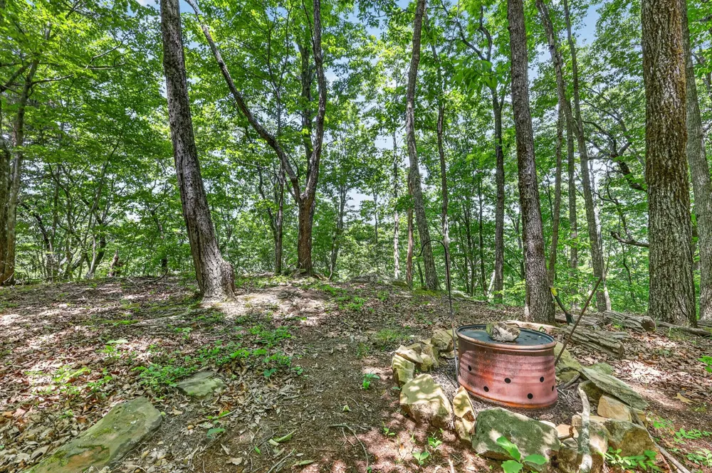 1215 Stage Coach Rd Sewanee, TN 37375