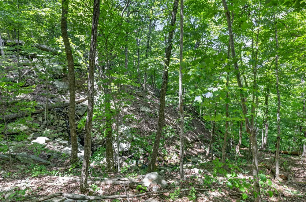 1215 Stage Coach Rd Sewanee, TN 37375