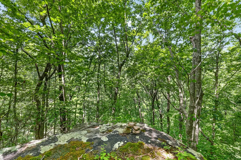 1215 Stage Coach Rd Sewanee, TN 37375