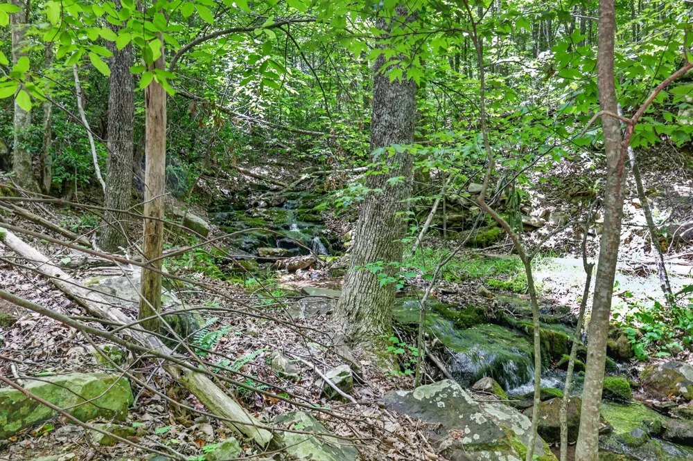 1215 Stage Coach Rd Sewanee, TN 37375