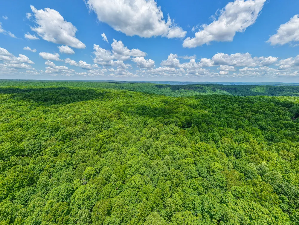 1215 Stage Coach Rd Sewanee, TN 37375