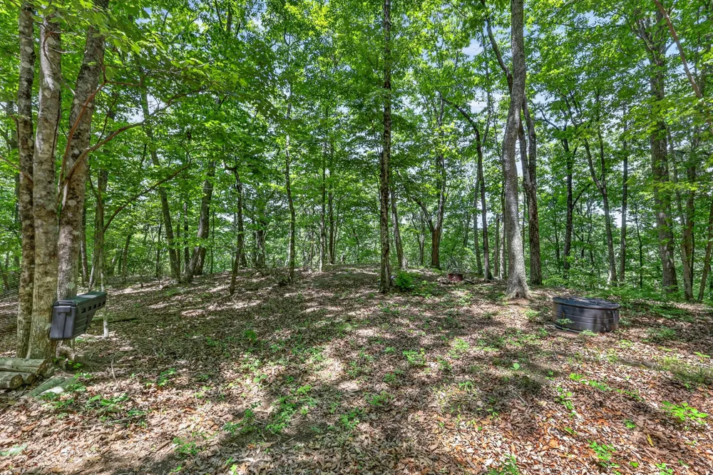 1215 Stage Coach Rd Sewanee, TN 37375