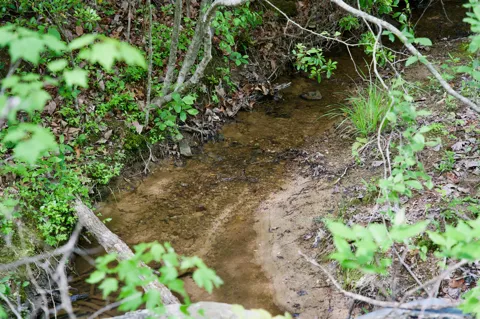 0 Creek Side Lane
