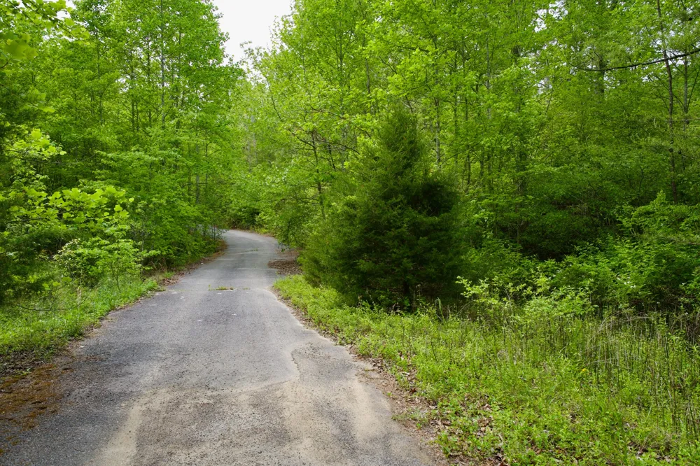 0 Creek Side Lane Spencer, TN 38585