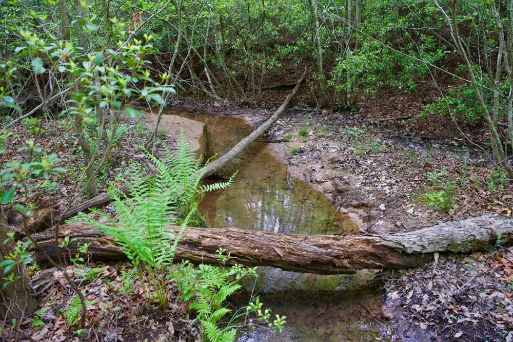 0 Creek Side Lane Spencer, TN 38585