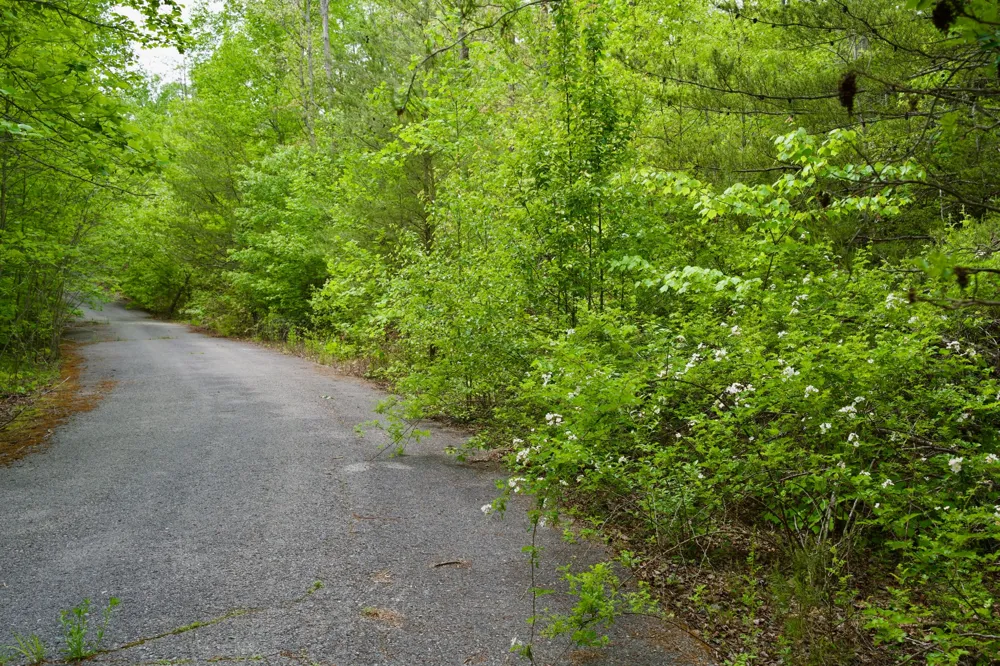 0 Creek Side Lane Spencer, TN 38585