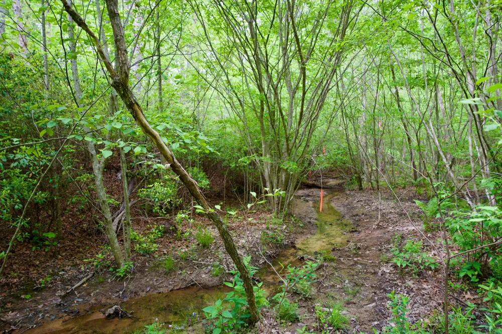 0 Creek Side Lane Spencer, TN 38585