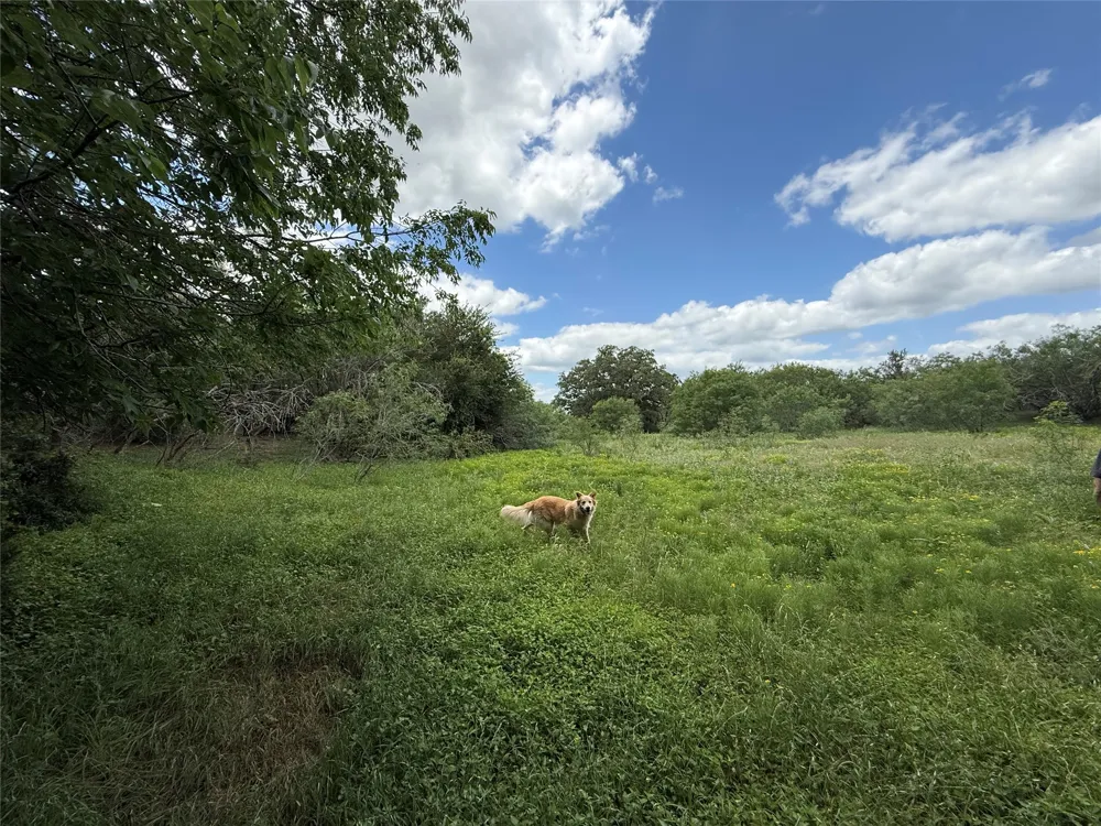 Pettytown Road Red Rock, TX 78662