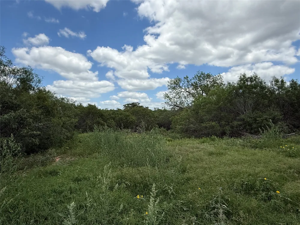 Pettytown Road Red Rock, TX 78662