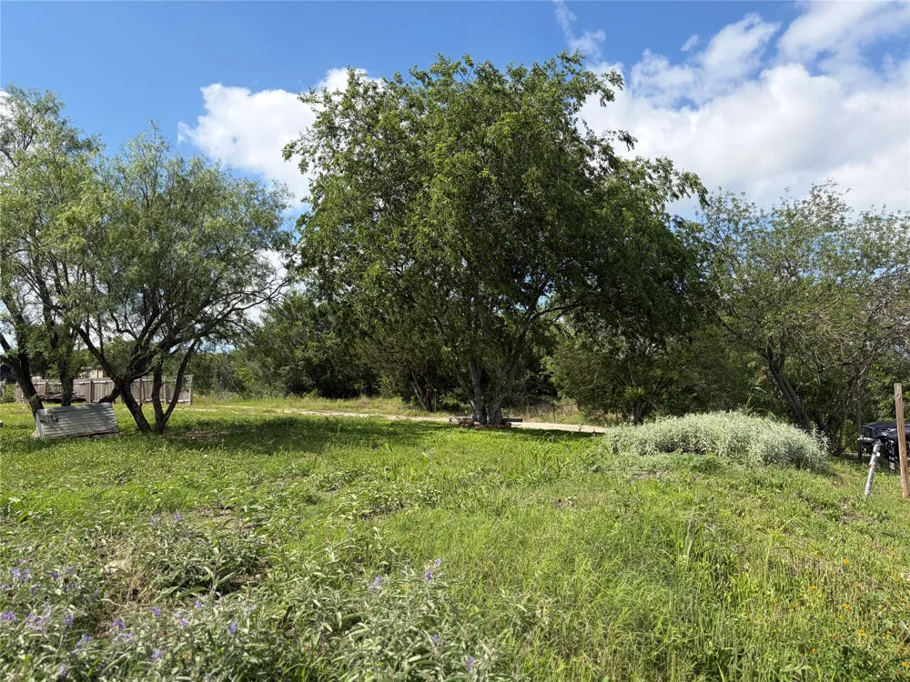 207 Cresthill Causeway Kyle, TX 78640