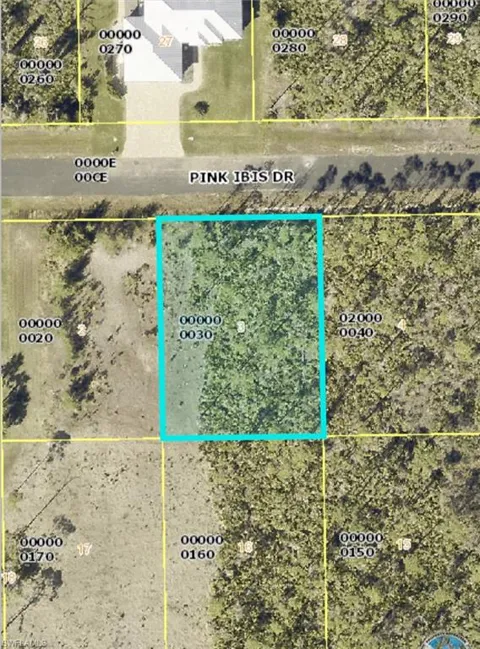 3601 Pink Ibis Drive