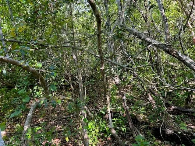 0 No Access Road Everglades City, FL 34139