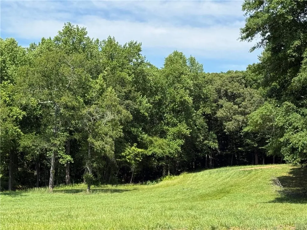603 Wall Bridge Road Clarkesville, GA 30523