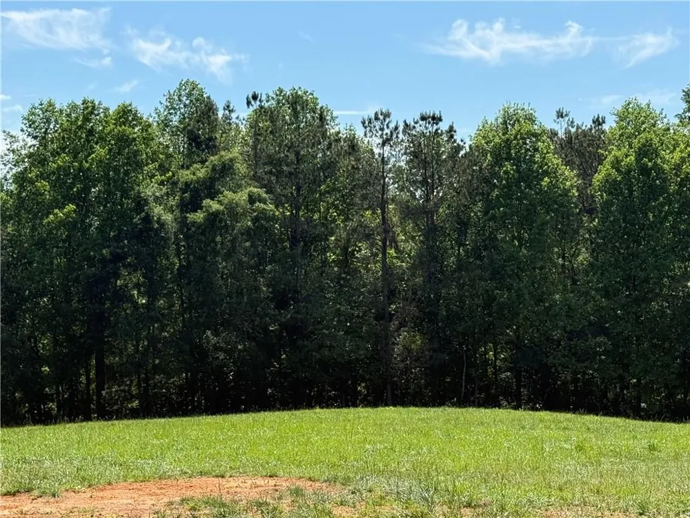 603 Wall Bridge Road Clarkesville, GA 30523