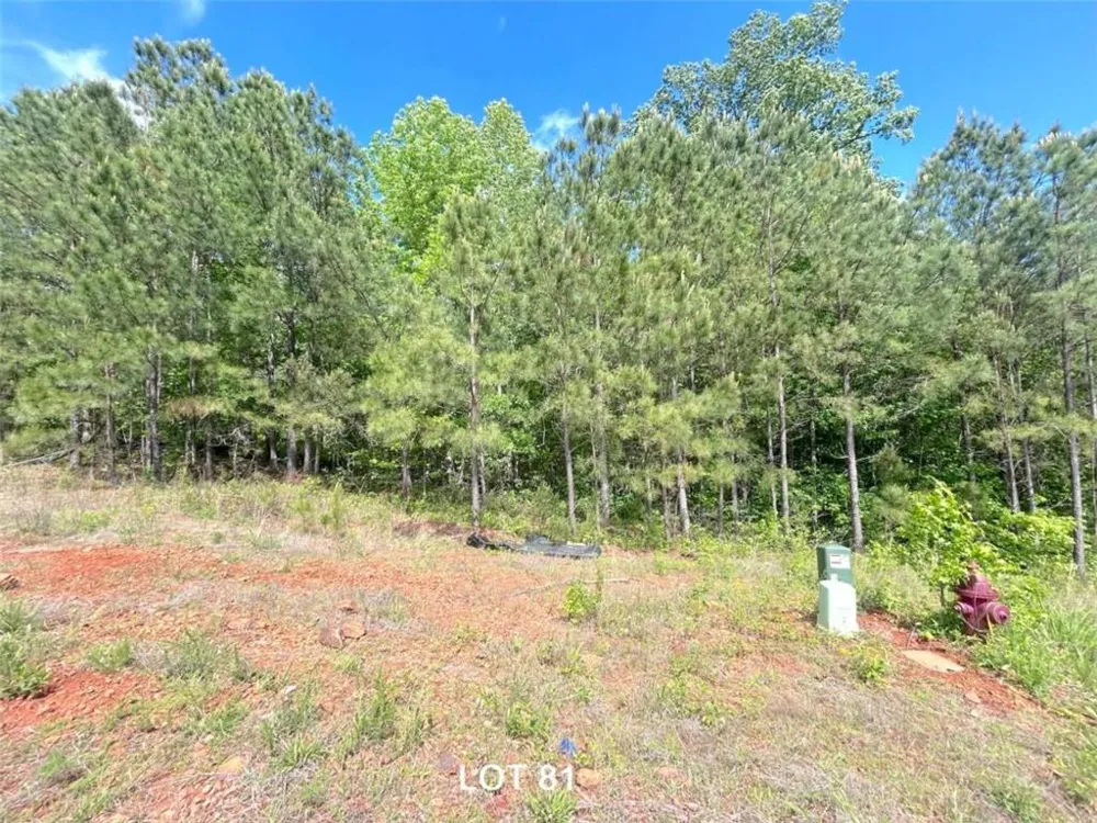 208 Oakdale Way Temple, GA 30179