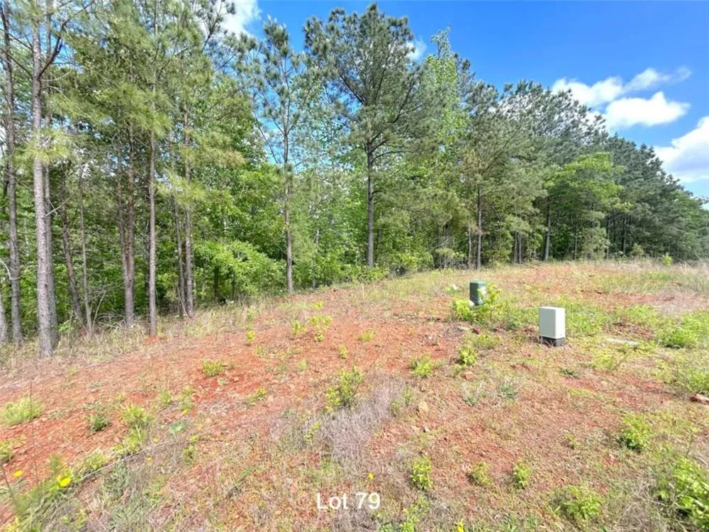 208 Oakdale Way Temple, GA 30179