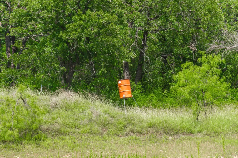 15500 County Road 417 May, TX 76857
