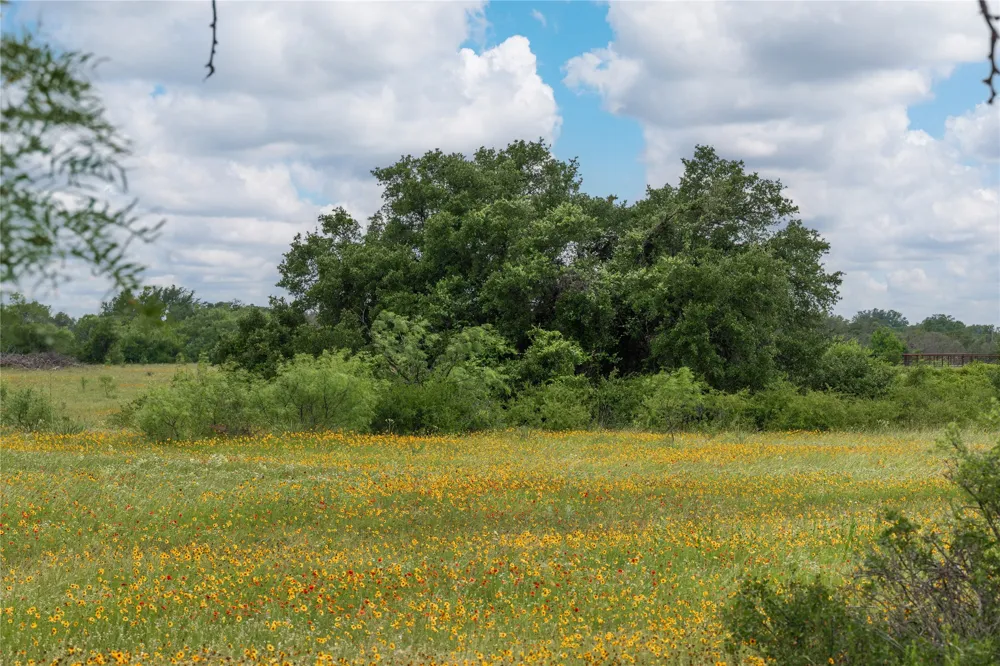 15500 County Road 417 May, TX 76857