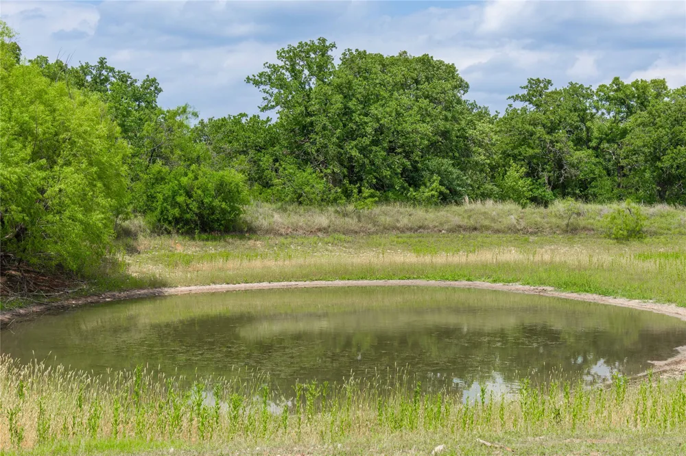 15500 County Road 417 May, TX 76857
