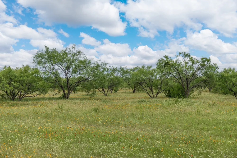 15500 County Road 417 May, TX 76857