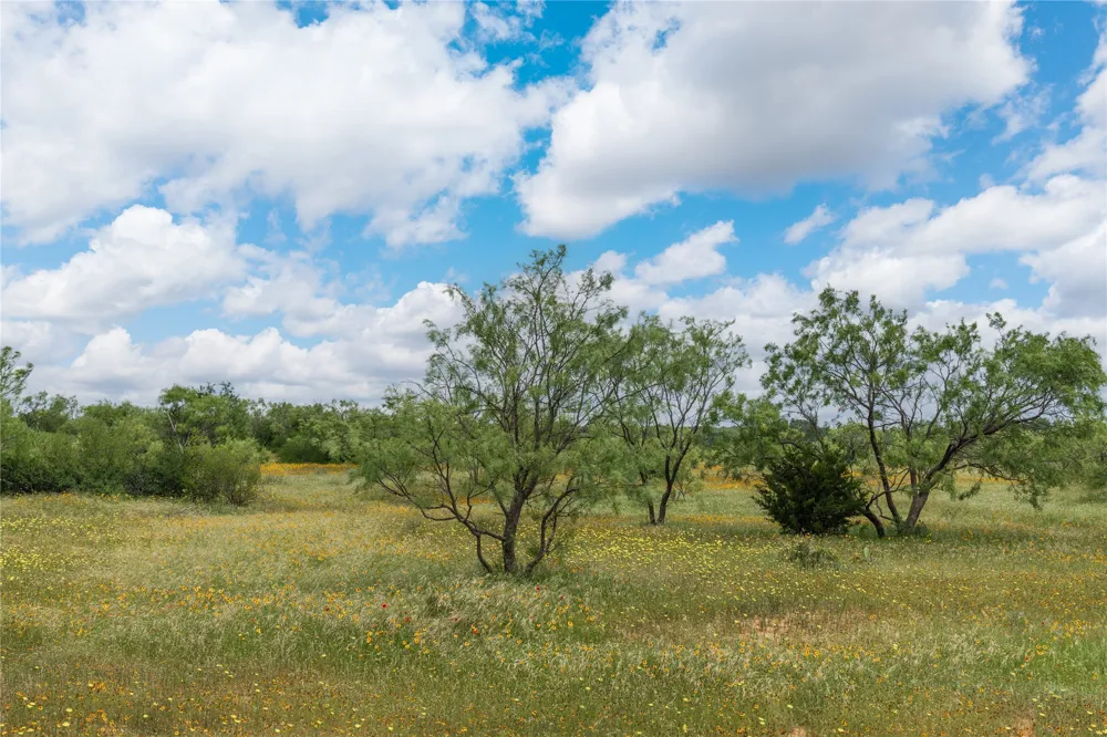 15500 County Road 417 May, TX 76857