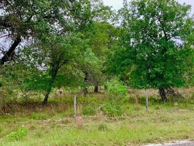 4703 Scenic Lake Drive Schertz, TX 78154