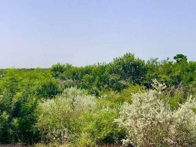 4703 Scenic Lake Drive Schertz, TX 78154