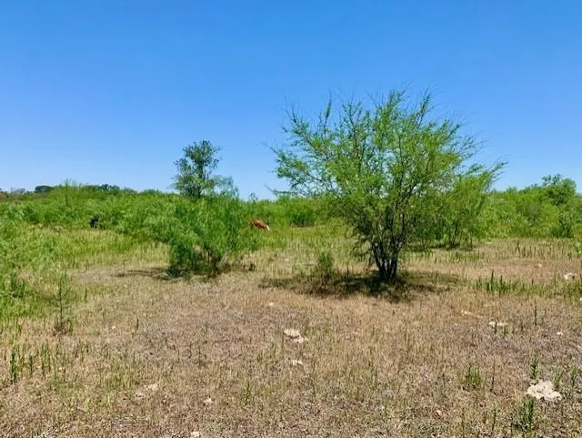 4703 Scenic Lake Drive Schertz, TX 78154