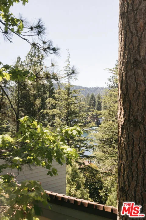 27721 Peninsula Drive #228 Lake Arrowhead, CA 92352