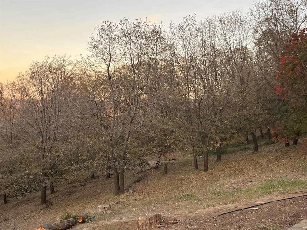4129 Eagle Peak Julian, CA 92036