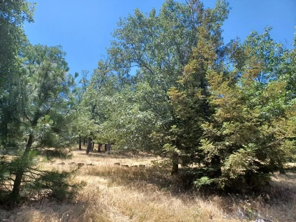 4129 Eagle Peak Julian, CA 92036