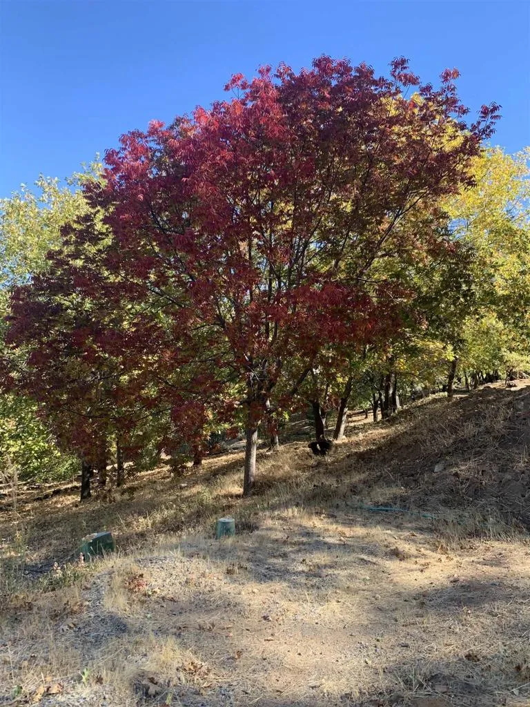 4129 Eagle Peak Julian, CA 92036