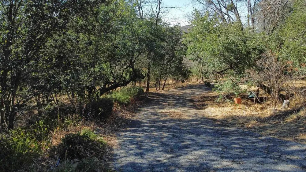 5298 Pine Hills Rd. Julian, CA 92036